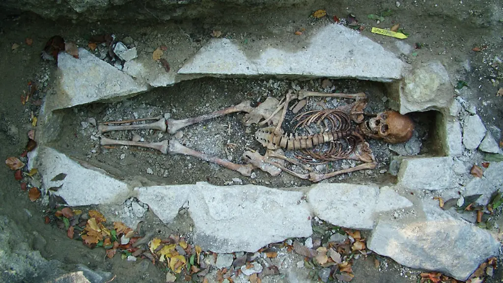 ACHTUNG-Frei-nur-zur-redaktionellen-Verwendung-im-Zusammenhang-mit-der-Berichterstattung-ueber-die-Studie