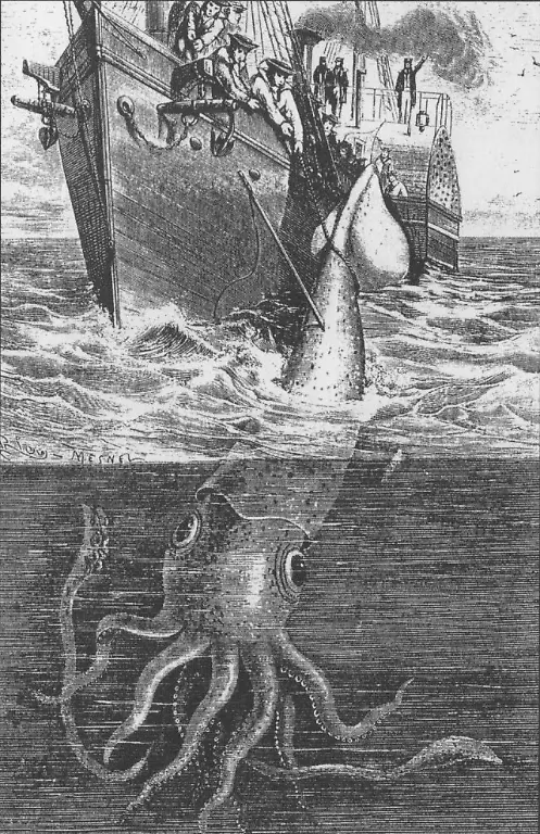 Alecton-giant-squid-1861