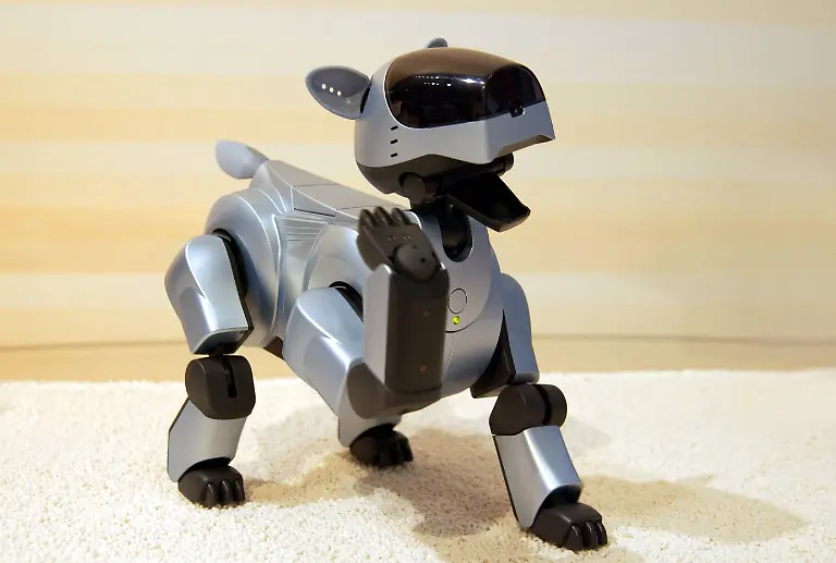 Robot19
