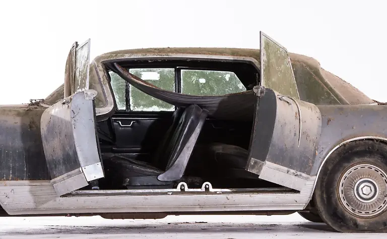 Facel-Excellence-Tuer