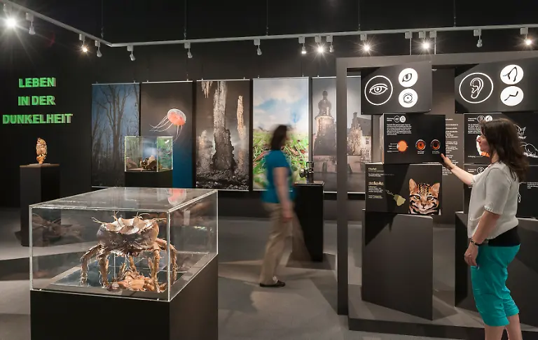 08-Besucher-c-Steinweg-LWL