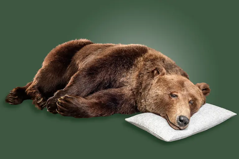 04-Tier-Baer-Kissen-kl-C-LWL-Steinweg