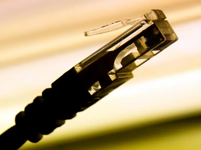 In-der-Informationsgesellschaft-fallen-immer-mehr-Daten-an-Eine-Konferenz-in-Hildesheim-befasste-sich-jetzt-besonders-mit-Datenstroemen-von-staendig-neu-erfassten-Messwerten