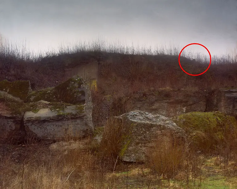 Menner-Camouflage-Solution-020