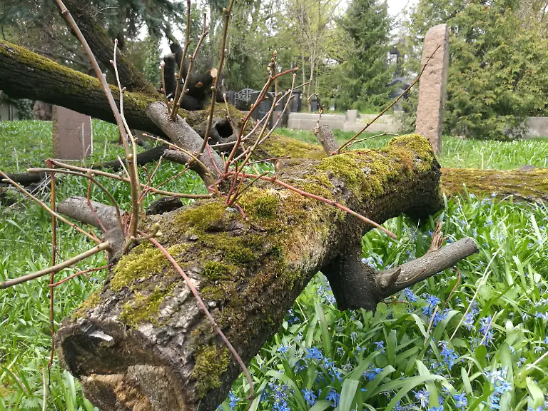 img-20160409-154228-25764787993-o