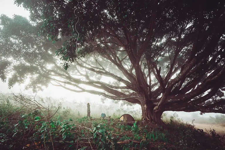 p334-335-OneYearonaBike