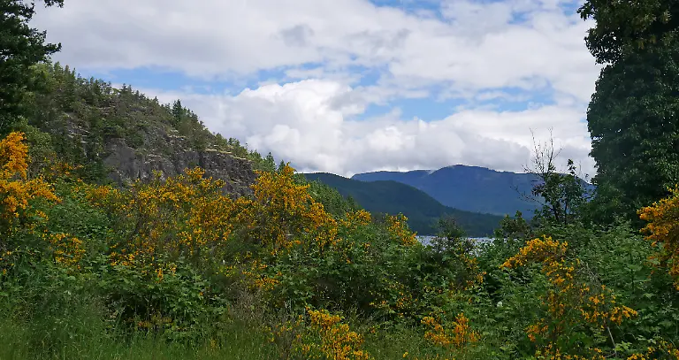 Natur-Sunshine-Trail