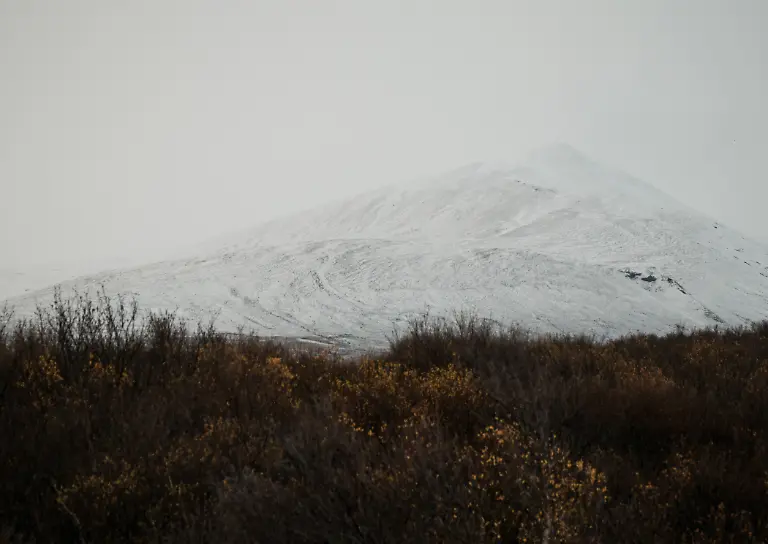 schneebedeckter-berg