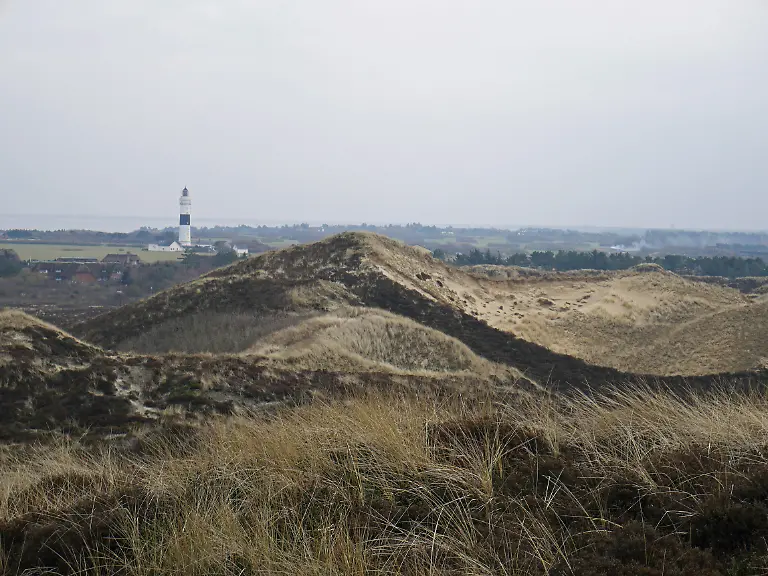 Sylt