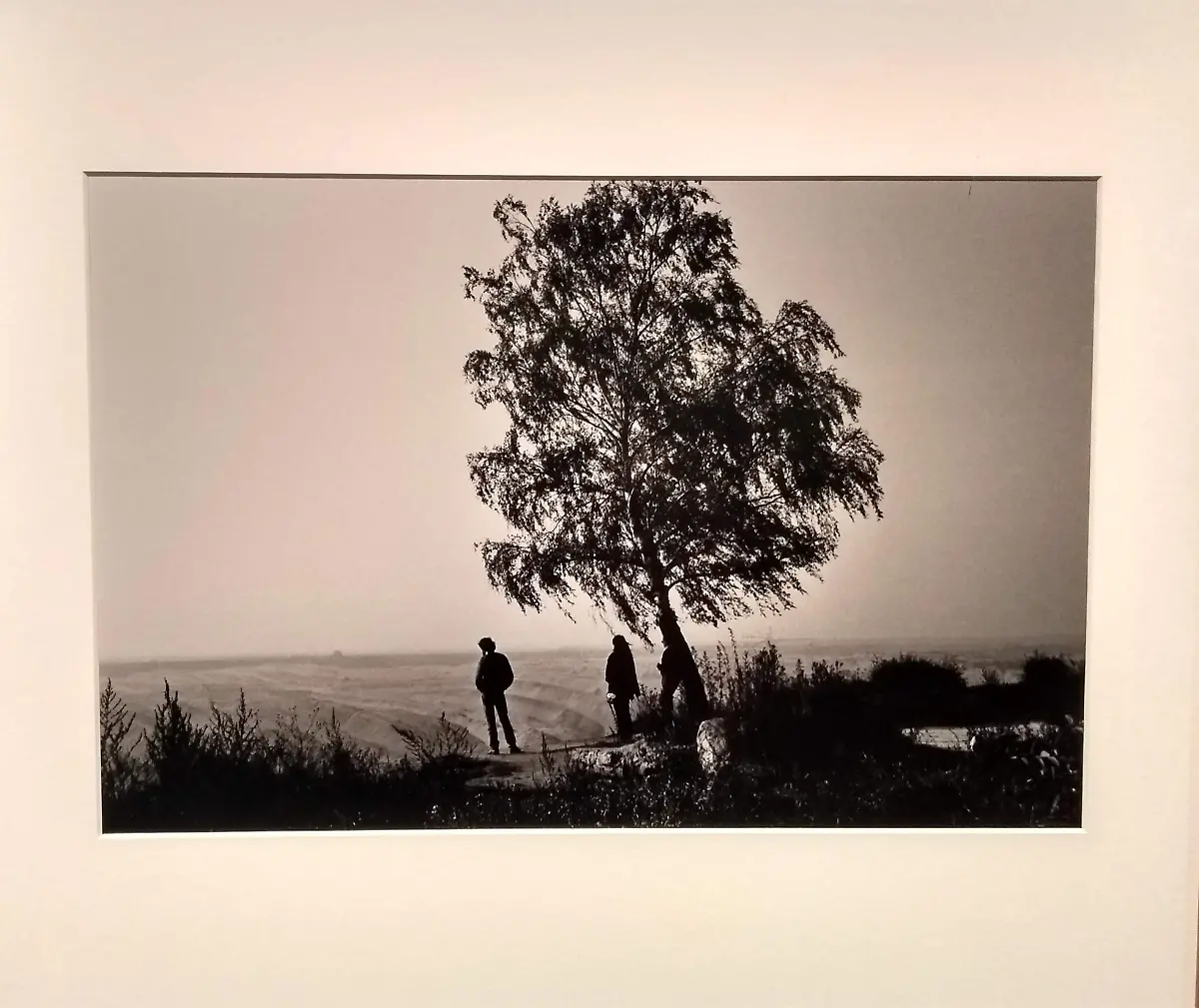 IMG-20200911-115330979-HDR