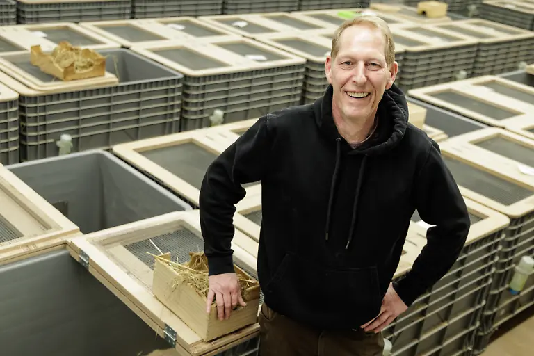 Tierpfleger-Joerg-Kritschker-verpaart-im-Rahmen-eines-Artenhilfsprojekts-im-Artenschutzzentrum-des-Landes-deutsche-Feldhamster-und-Exemplare-aus-den-Niederlanden-um-die-stark-bedrohte-Tierart-zu-foerdern-Das-LANUK-Landesamt-fuer-Natur-Umwelt-und-Klima-plant-jedes-Jahr-mindestens-30-Wuerfe-oder-200-Jungtiere-von-denen-ein-Grossteil-noch-im-selben-Jahr-ausgewildert-wird