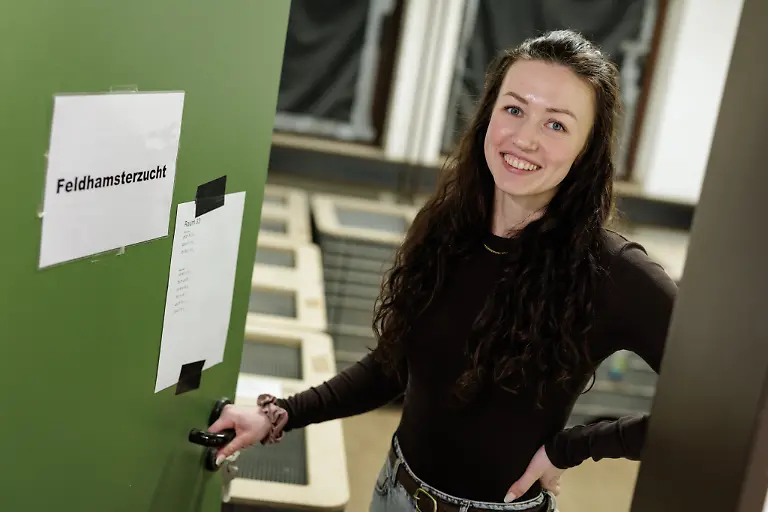 Projektleiterin-Anika-Hirz-verpaart-im-Rahmen-eines-Artenhilfsprojekts-im-Artenschutzzentrum-des-Landes-deutsche-Feldhamster-und-Exemplare-aus-den-Niederlanden-um-die-stark-bedrohte-Tierart-zu-foerdern-Das-LANUK-Landesamt-fuer-Natur-Umwelt-und-Klima-plant-jedes-Jahr-mindestens-30-Wuerfe-oder-200-Jungtiere-von-denen-ein-Grossteil-noch-im-selben-Jahr-ausgewildert-wird