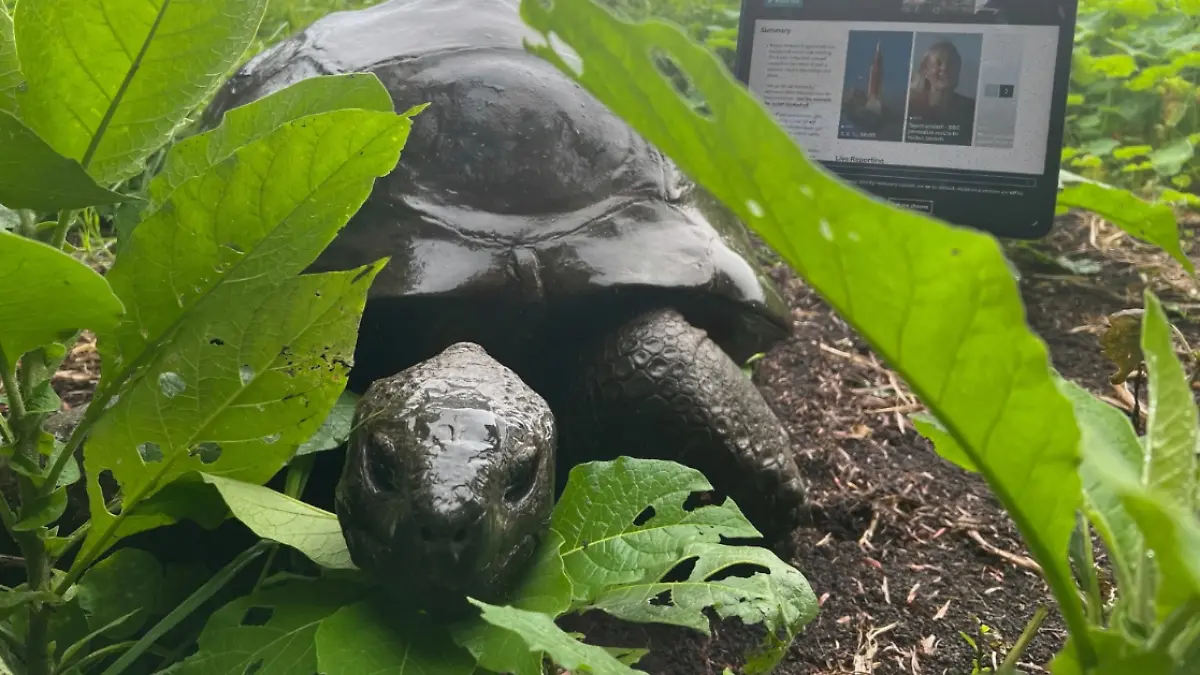 Todesmeldung ist ein Fake: Älteste Schildkröte der Welt für Kryptobetrug missbraucht
