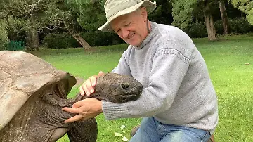 HANDOUT-Jonathan-190-die-aelteste-Schildkroete-der-Welt-im-Garten-der-Gouverneurs-Residenz-auf-der-Insel-St-Helena-mit-seinem-Pfleger-Joe-Hollins-undatiert-Jonathan-ist-die-aelteste-Schildkroete-der-Welt-Er-hat-zwei-Weltkriege-erlebt-den-Bau-des-ersten-Wolkenkratzers-und-die-erste-Gluehbirne-Auf-der-Insel-St-Helena-im-Suedatlantik-feiert-Jonathan-nun-seinen-190-Geburtstag