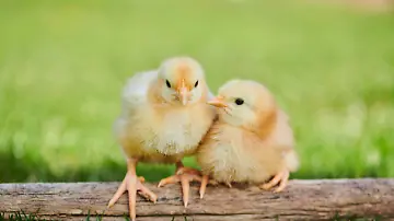 imago162563727