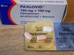 Bis zu 100 Prozent: US-Regierung erhebt Zölle auf Marken-Arzneimittel