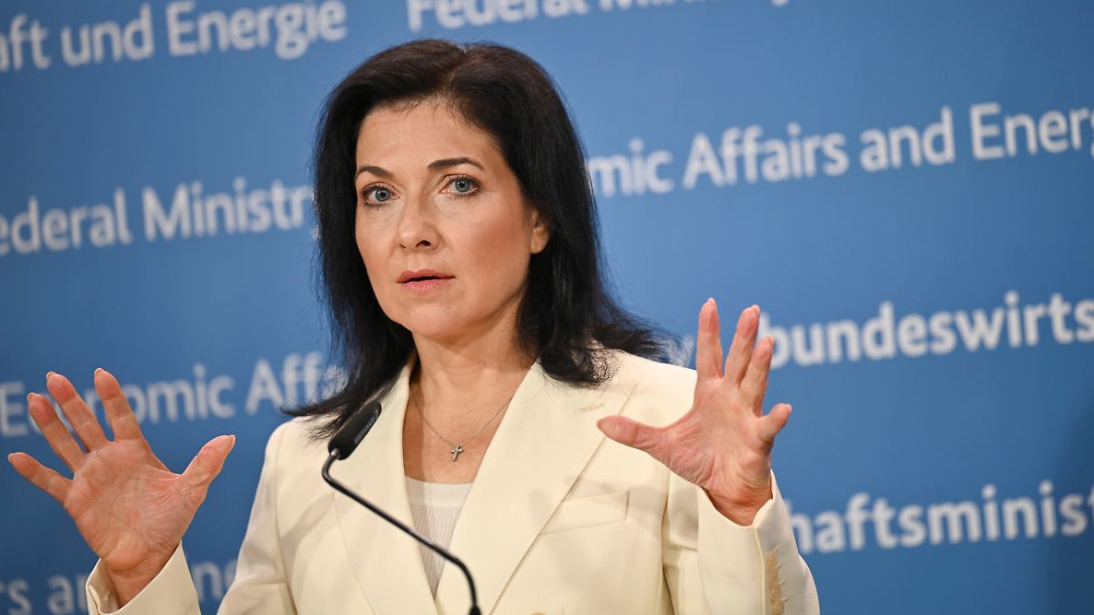 Reiche will Aufgaben des Ministeriums an Berater auslagern