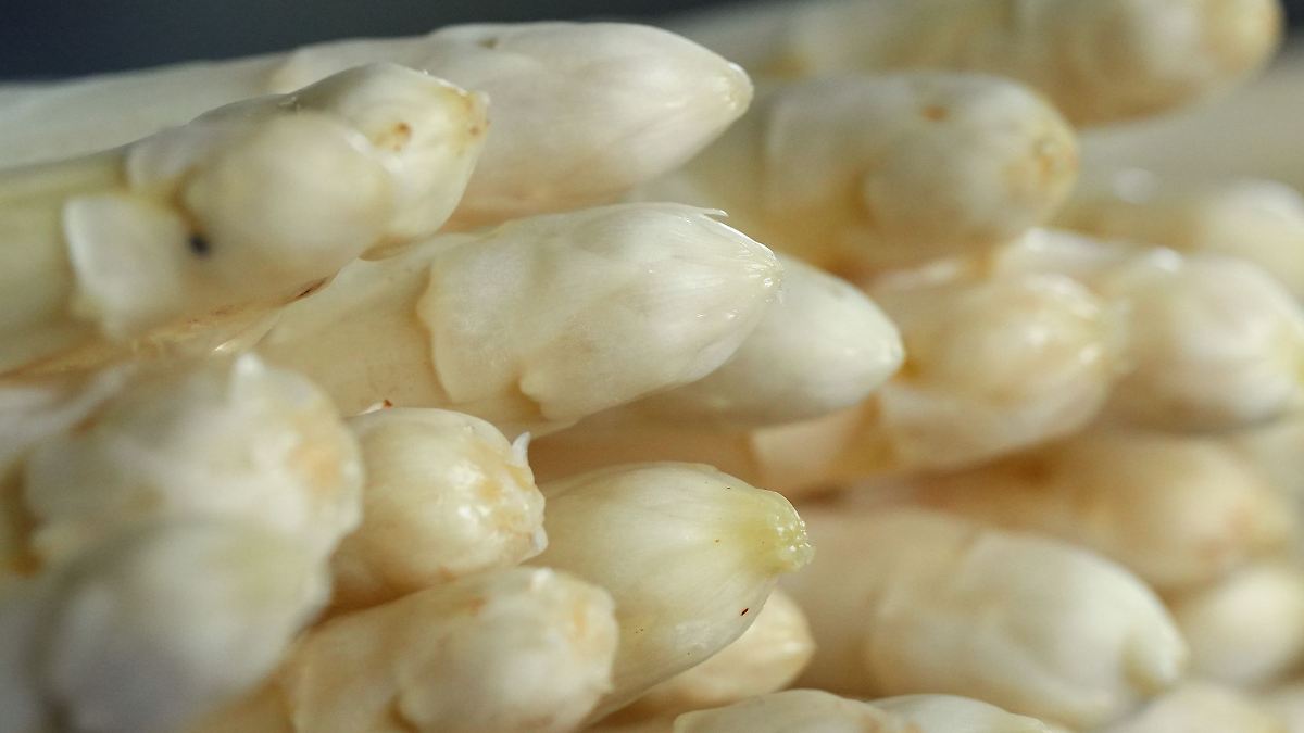 Kaum Spargel zu Ostern – Kälte verzögert Ernte im Norden