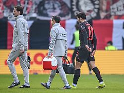 Nordrhein-Westfalen: Leverkusen muss Saison ohne Terrier beenden