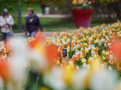 Hessen: Osterwetter in Hessen: Mix aus Sonne, Wolken und Regen