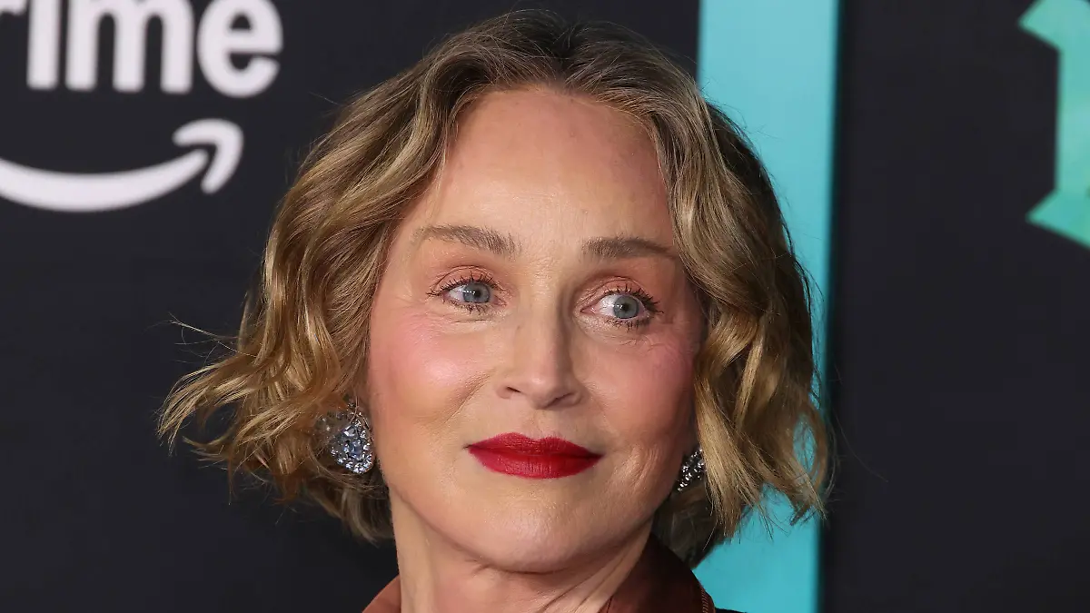 Es ist ein Oscar-Gewinner: Sharon Stone nennt "besten Küsser" in Hollywood