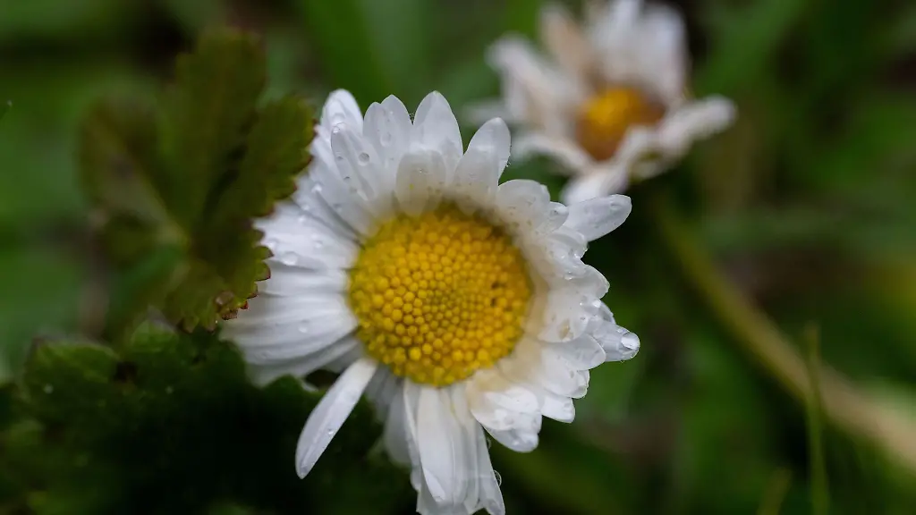 An-Ostersonntag-wird-es-zunaechst-verbreitet-sonnig