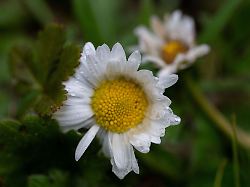 Bayern: Schirm oder Sonnenbrille? So wird das Wetter zu Ostern