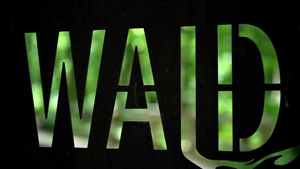 Nach-dem-Willen-der-CDU-Landtagsfraktion-soll-beim-Errichten-von-Gebaeuden-der-Mindestabstand-zum-Wald-von-30-auf-10-Meter-reduziert-werden