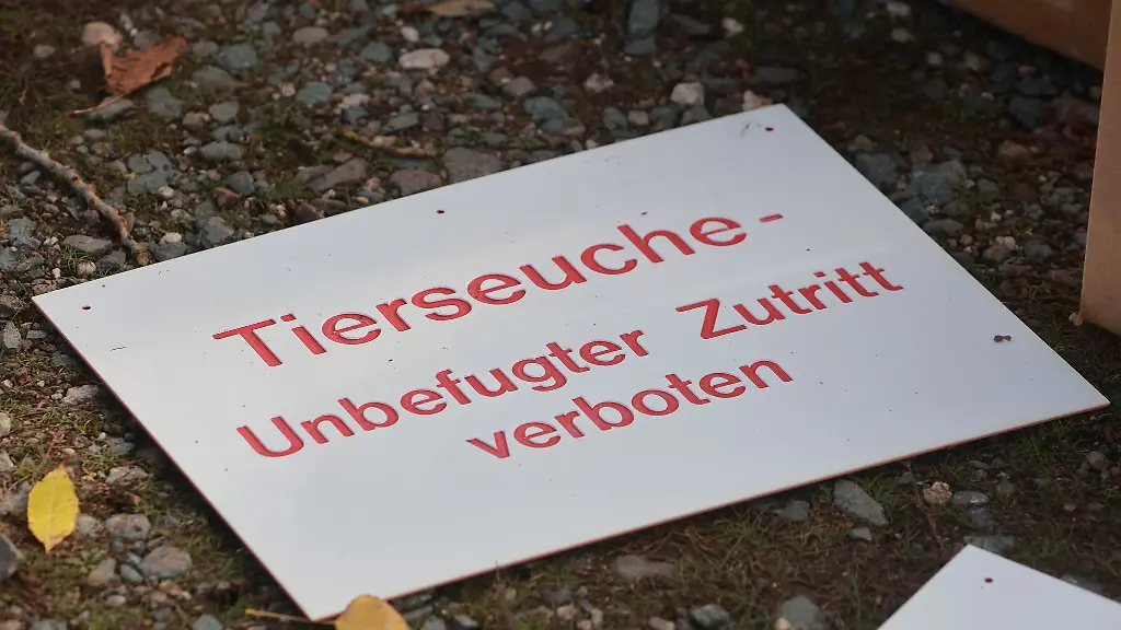 In-Brandenburg-wurde-erneut-ein-Fall-der-Newcastle-Krankheit-bekannt