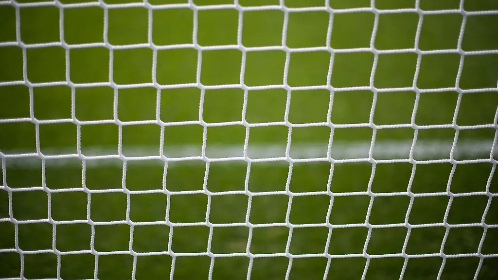 Ein-Rehbock-hat-sich-in-einem-Fussballtornetz-verfangen