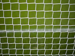 Sachsen: Rehbock verheddert sich im Netz eines Fußballtores