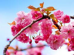 Nordrhein-Westfalen: Sonnenschein und teils mehr als 20 Grad in der neuen Woche