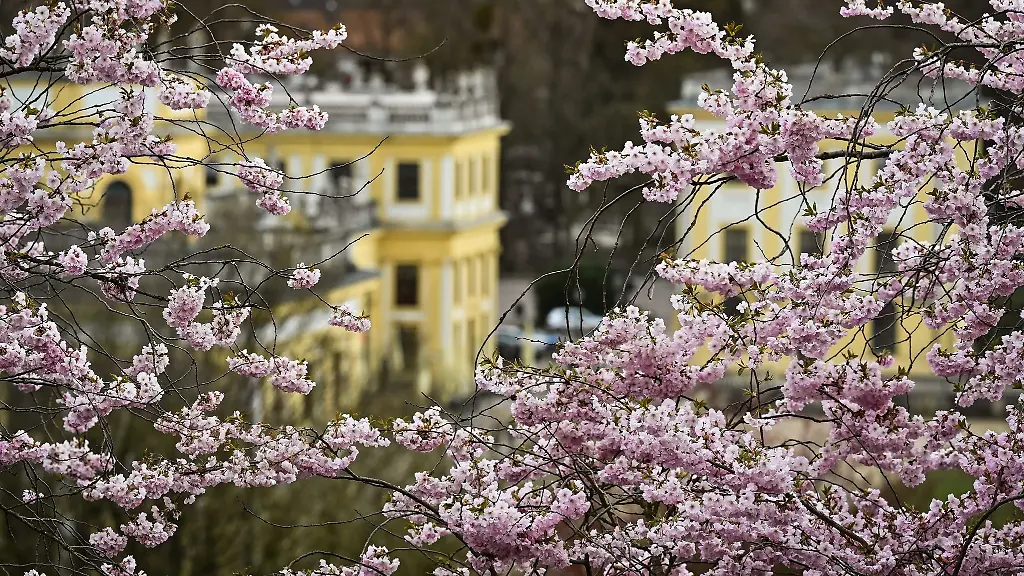 In-Hessen-meldet-sich-der-Fruehling-zurueck