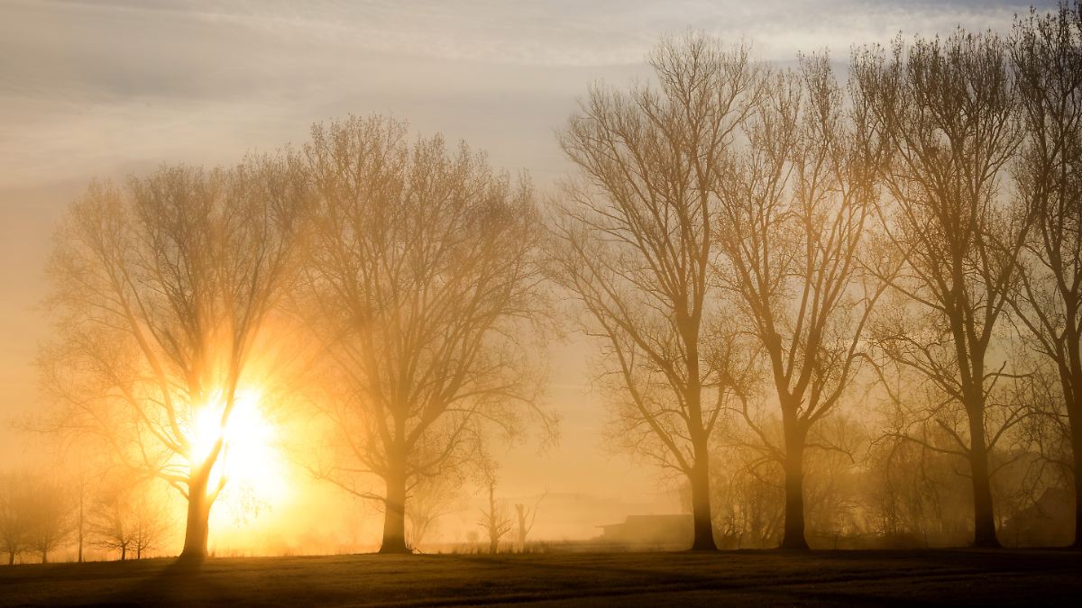 Wetterwoche im Schnellcheck: Hoch "Quirin" sorgt für Gefühl von Frühsommer bei über 20 Grad