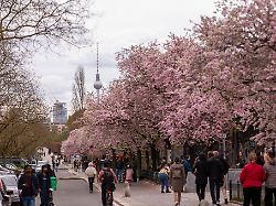 Berlin & Brandenburg: Polizei zieht Bilanz: ruhiges Osterwochenende in Berlin