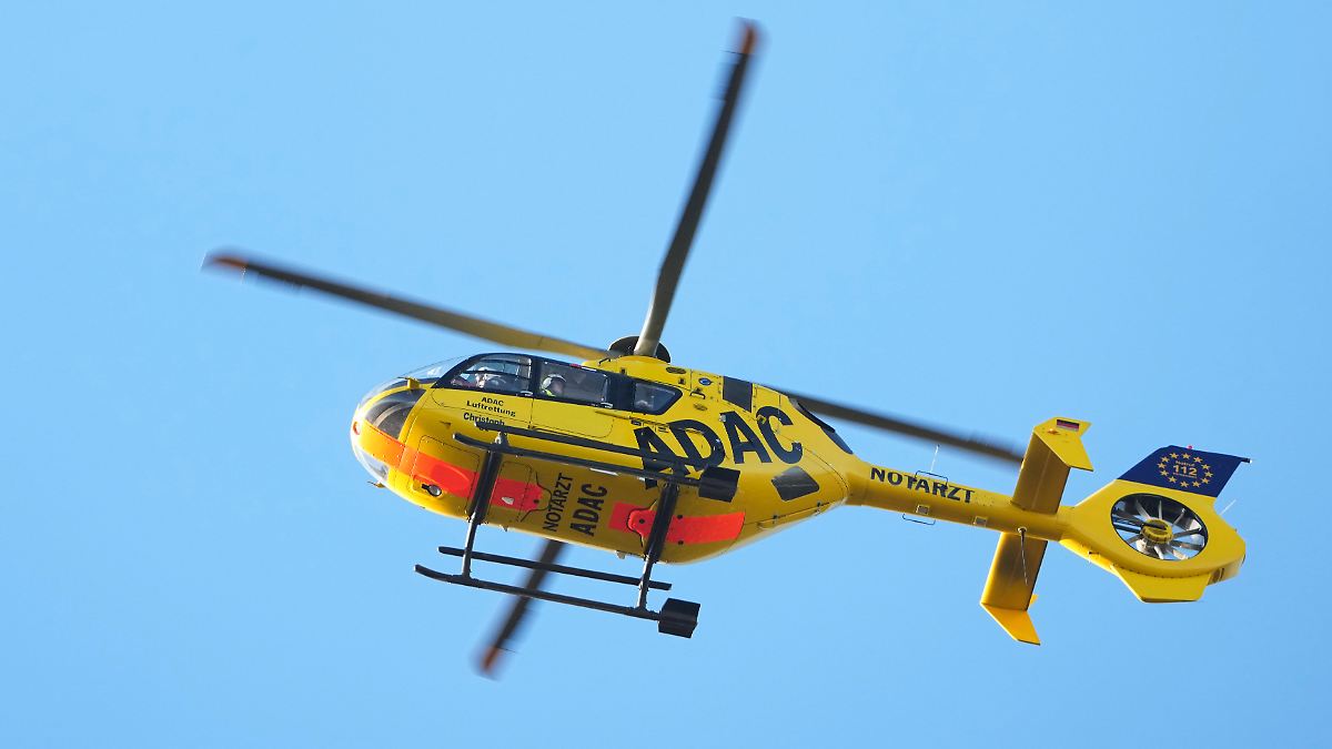 Während Ostereiersuche?: Baum stürzt auf mehrere Menschen - drei Tote