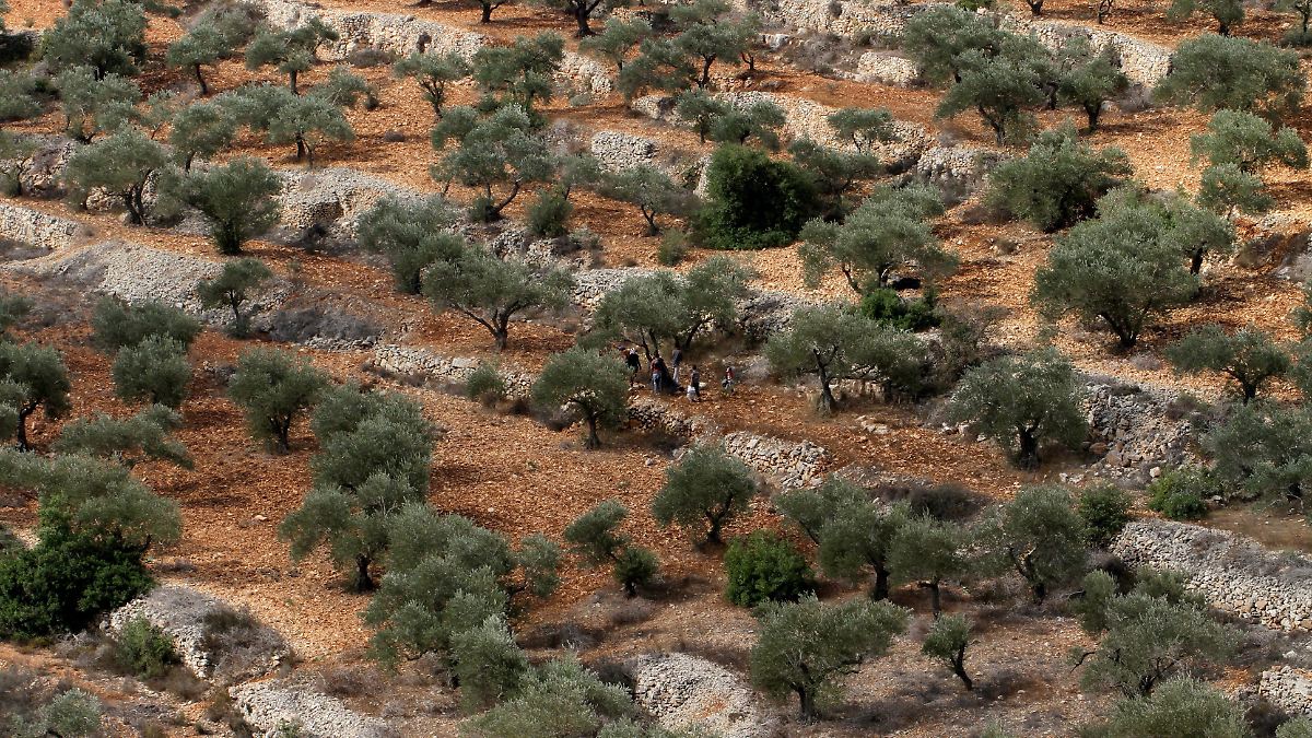 Vor den Augen des Vaters: Bericht: Siedler töten erneut Palästinenser