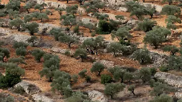 52902542