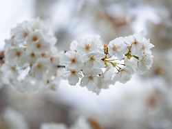 Baden-Württemberg: Ostermontag bringt Sonne und bis zu 21 Grad im Südwesten