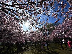 Bayern: Frühling in Sichtweite: Viel Sonne und milde Temperaturen