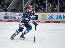 Baden-Württemberg: Nach Viertelfinal-Aus: Wild Wings verkünden sechs Abgänge