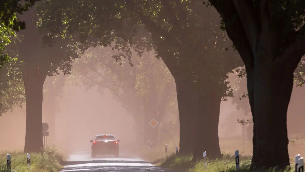 Der-Wind-wirbelte-am-Ostermontag-Staub-von-Ackerflaechen-ueber-die-Strasse