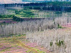 Niedersachsen & Bremen: Niedersachsens Klimarat nimmt die Arbeit auf