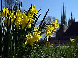 Thüringen: Sonnig und mild in Thüringen