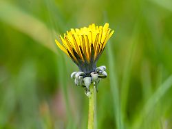 Nordrhein-Westfalen: Sonnige Tage und milde Temperaturen in NRW