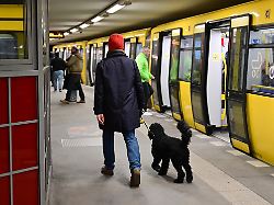 Keine Haftstrafen mehr: Justizministerin Hubig will Schwarzfahren entkriminalisieren