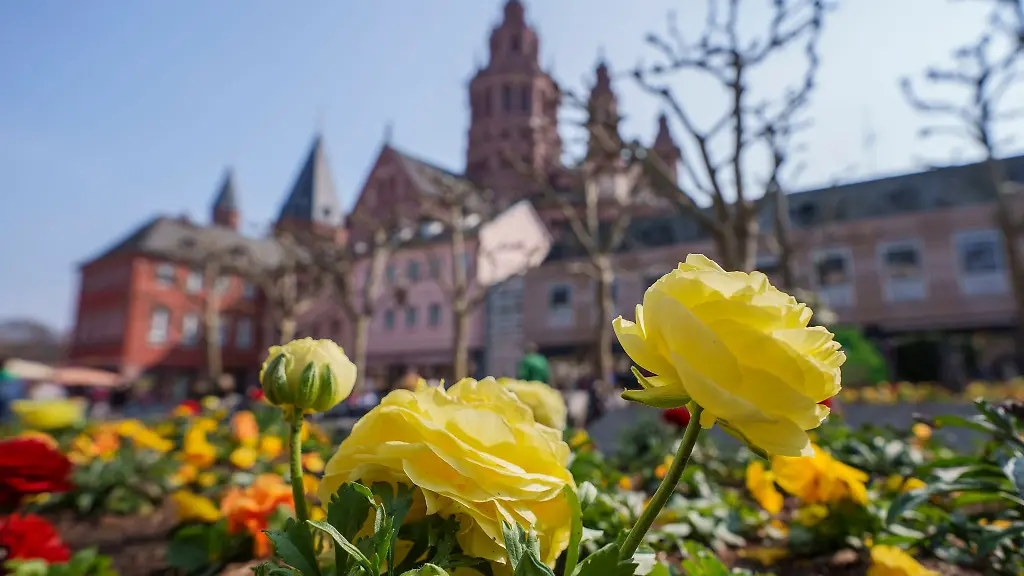 Die-Sonne-laesst-sich-wieder-haeufiger-blicken