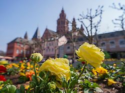 Rheinland-Pfalz & Saarland: Sonne und milde Temperaturen in Rheinland-Pfalz und Saarland