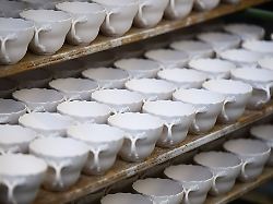 Sachsen: Kunstblume und Porzellanherstellung sollen Kulturerbe werden