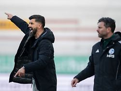 Nordrhein-Westfalen: Schalke verlängert Vertrag mit Co-Trainer Hoogland